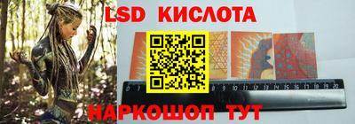 соль ск Новозыбков
