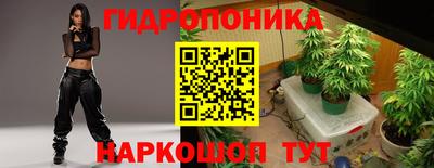 прущие крисы Нарткала