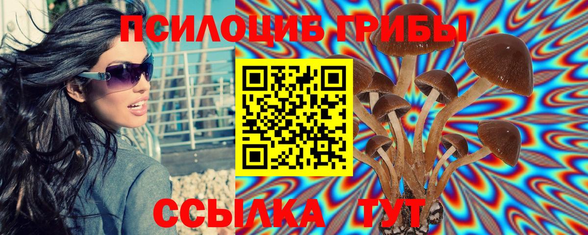 Галлюциногенные грибы мицелий  Псилоцибиновые грибы ЛСД  Реж  Вход с VPN 