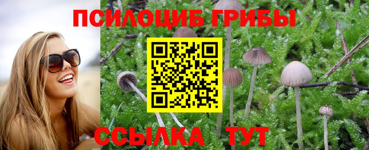 Псилоцибиновые грибы прущие грибы Реж